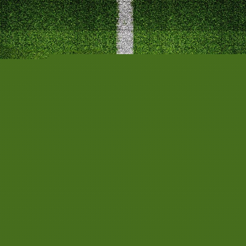 生涯中