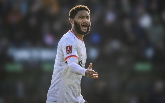 上严格遵循 上严格遵循