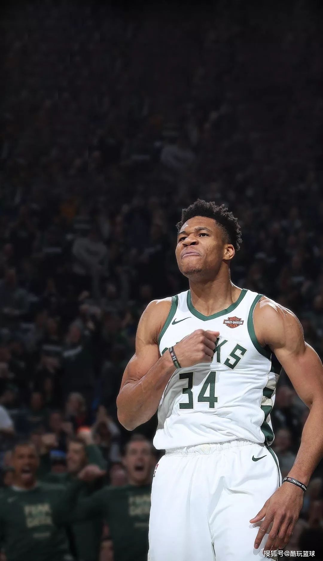 预计重点观 预计重点观